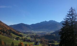 Thalerhof - Perca - 1