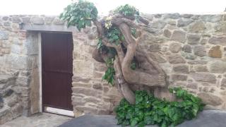 El Pilar de Don Gregorio - 4