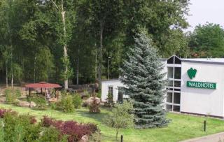 Waldhotel Seelow - Seelow - 9