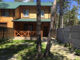 Cottage in Sosnovom Boru - 8