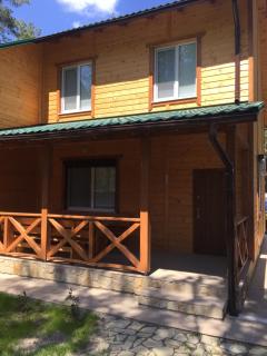 Cottage in Sosnovom Boru - 0