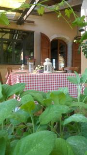 Agriturismo Terra Sabina - Poggio Mirteto - 3