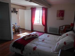 Le Pressoir B&B - Aydie - 6