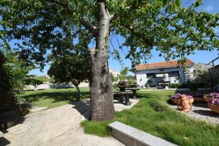 Apartments Celebrini - 4