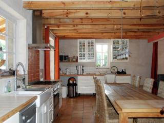 Mansion in Fargues with Pool and Garden - Fargues-sur-Ourbise - 7