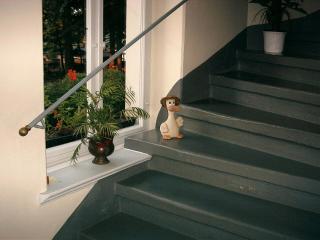 Hotel-Pension Königswald - Dresda - 4