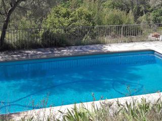 Holiday Home in Var with Private Pool - Masseboeuf - 4