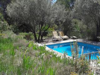Holiday Home in Var with Private Pool - Masseboeuf - 0