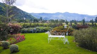 The Focus Khaoyai Resort - 8