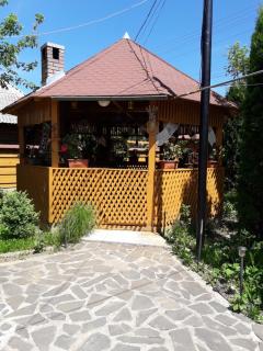 Pensiunea Todorica Sergiu - Şieu - 9