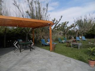 Silvi Mari Apartments - Platanias - 8