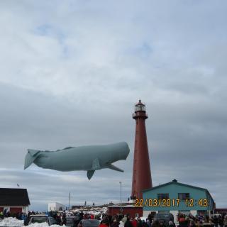 Jangaard Apartment - 1