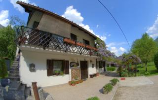 Apartma Bel - Žaga - 2