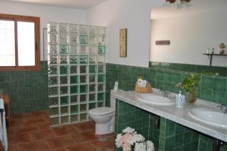 El Olivo del Moreno - Hornachuelos - 3