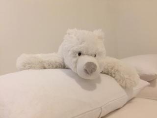 La Tanière de l'Ours Blanc Aubagne-Cassis-Aix en Provence - Aubagne - 5
