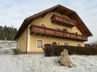 Apartment in Carinthia near the ski area - Bleiburg - 1