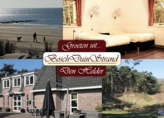 Hotel Studio Bosch Duin Strand - 0
