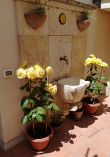 B&B del Corso - Sambuca di Sicilia - 5