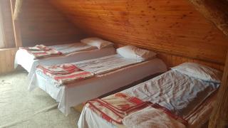Pension Zamolxe - Sarmizegetusa - 6