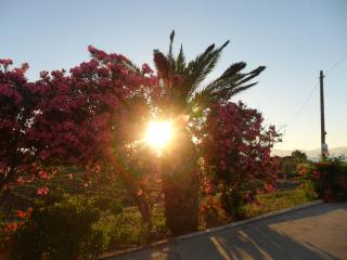 Miros Hotel Apartments - Tigaki - 6