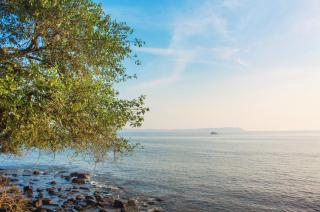 Ahilya By The Sea - 1