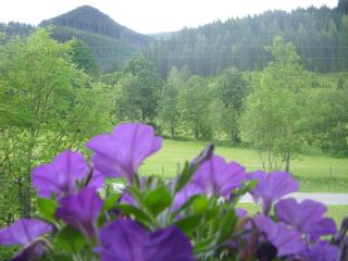 Gästehaus Hochkönig - Filzmoos - 5