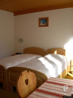 Hotel Adler - Saas-Grund - 7