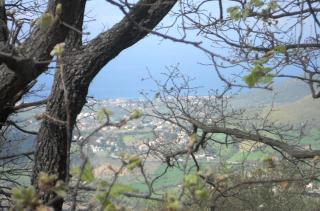 Casale Il Gheppio - Laureana Cilento - 6