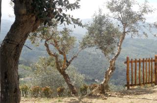 Casale Il Gheppio - Laureana Cilento - 7