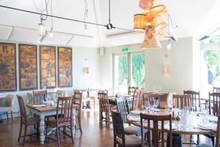 The Swan - 2