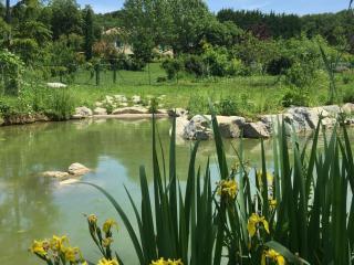 La Source, Vegetarian Guest House - 6