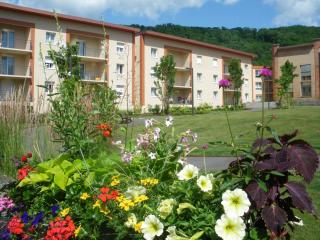 Comfort Aparthotel Mutzig Portes d'Alsace - Mutzig - 9