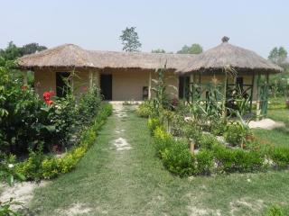 Racy Shade Resort Pvt.Ltd. - Bardia - 5