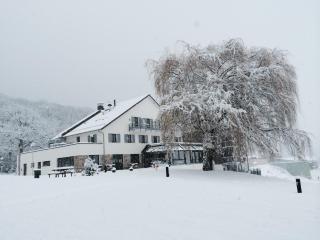 Hotel Restaurant Le Cleebourg - Rott - 2