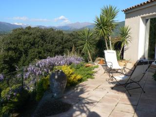 Chambre d'hote Casa Tozza - Porticcio - 4
