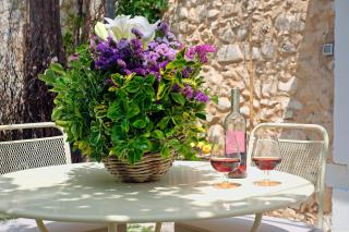 Masseria Pagliamonte Ortensia - San Vito dei Normanni - 7