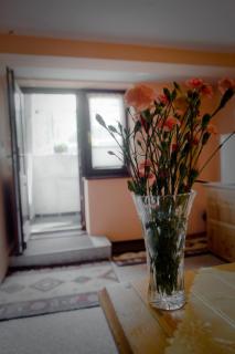 Pokoje Gościnne Mróz Krystyna - 9