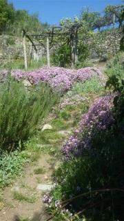 Bed & Breakfast Varionda - Chiaverano - 5