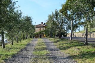 Agriturismo Amina, Winery & Hiking - Vagliagli - 7
