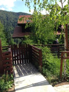 Andu's Chalet Azuga - Azuga - 6