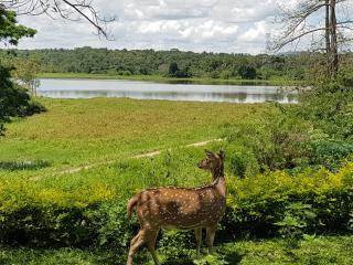 Blue Lake Ridge - Maha Oya - 1