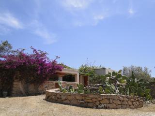 Casa Andrea - San Francisco Javier - 0