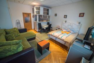 Downtown Zlatibor Apartment - Zlatibor - 8