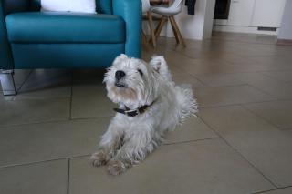 RheinDesign River Promenade - 3