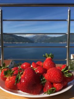 Apartment 365 - Tivat - 9