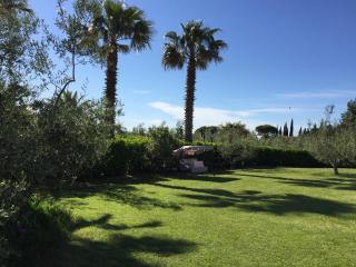 Le Macine - Cecina - 3