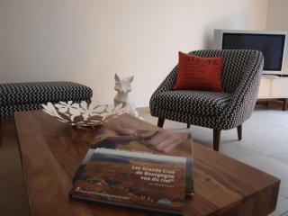 Cottage nuiton - Nuits-Saint-Georges - 0