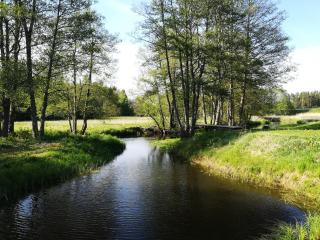 Brīvdienu māja Strazdi - Ugāle - 5
