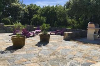 Mas de Cala, gîtes détente au Pic Saint Loup - 3