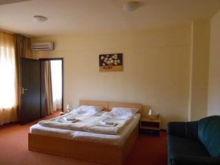 Hotel Diana - Geoagiu Băi - 9